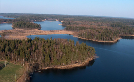 17_Auksales pus. V.Plyniaus ntr..jpg